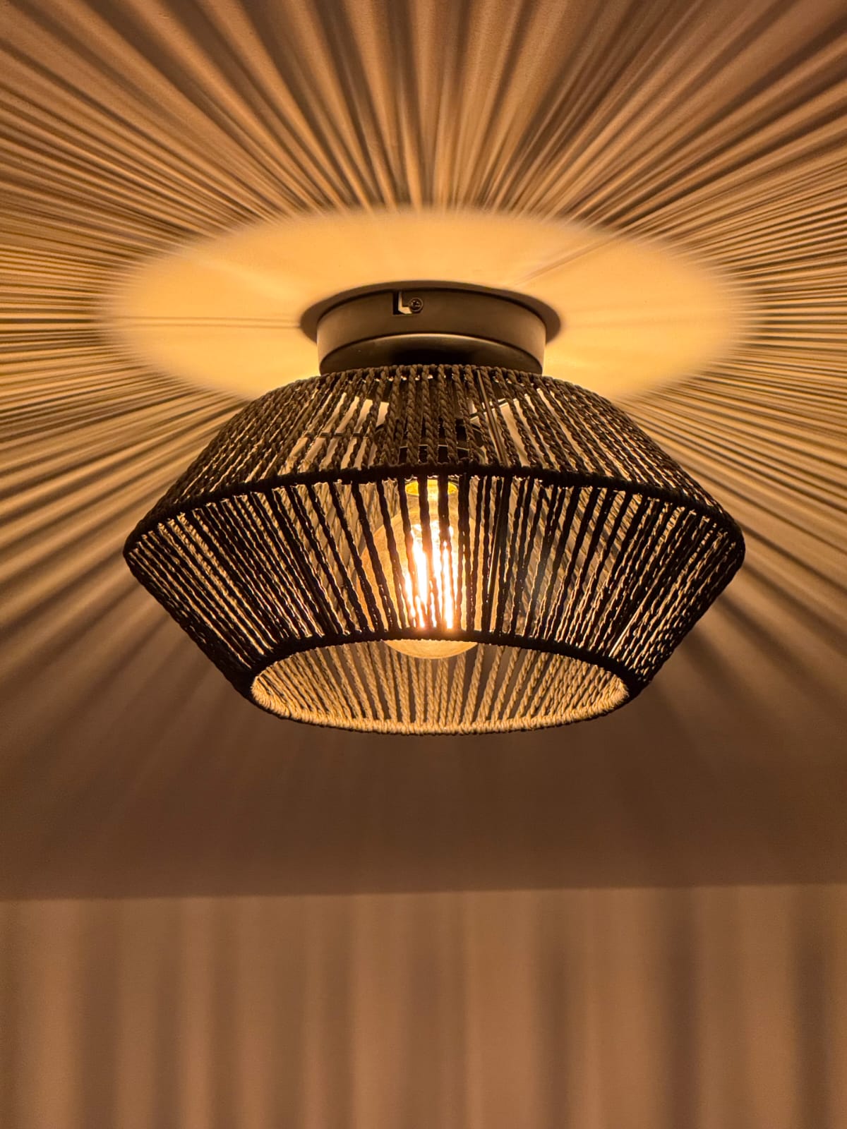 Ceiling Lamp