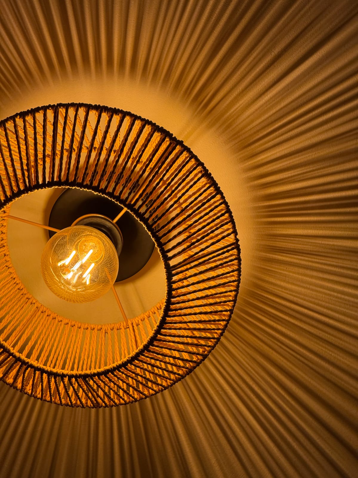 Ceiling Lamp