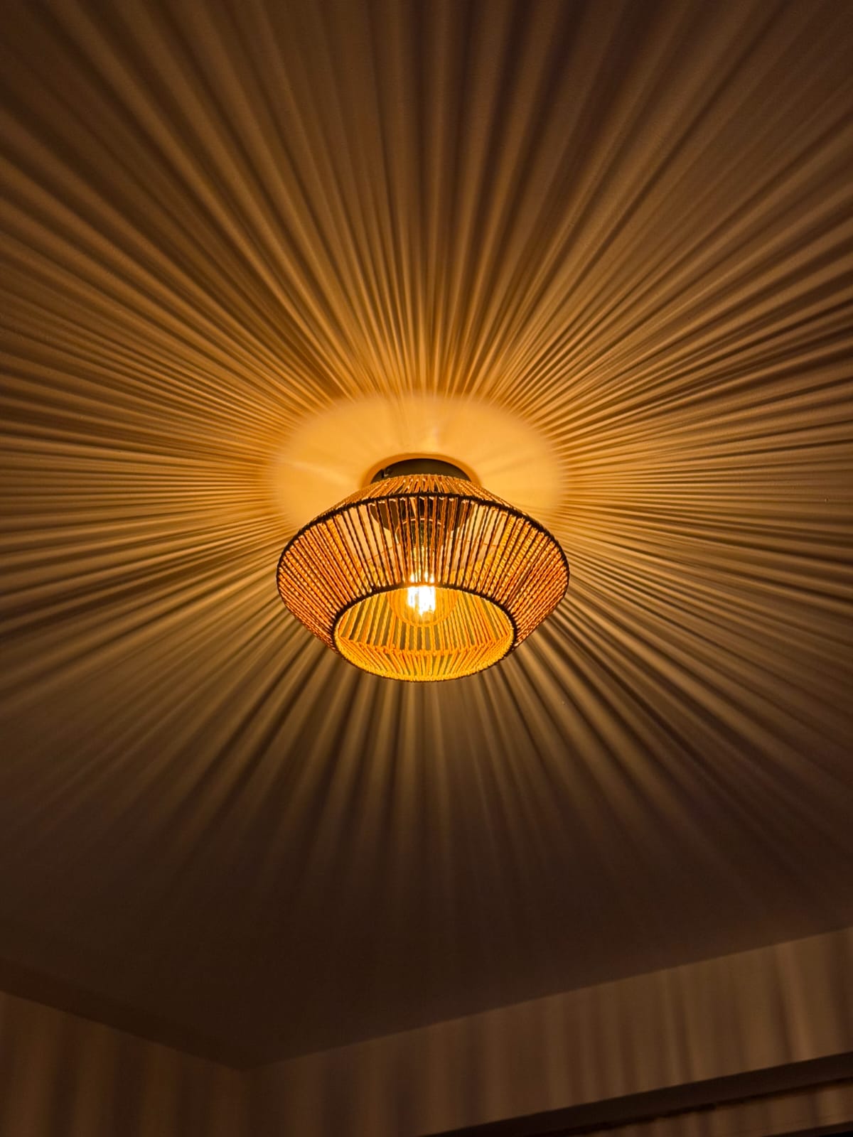Ceiling Lamp