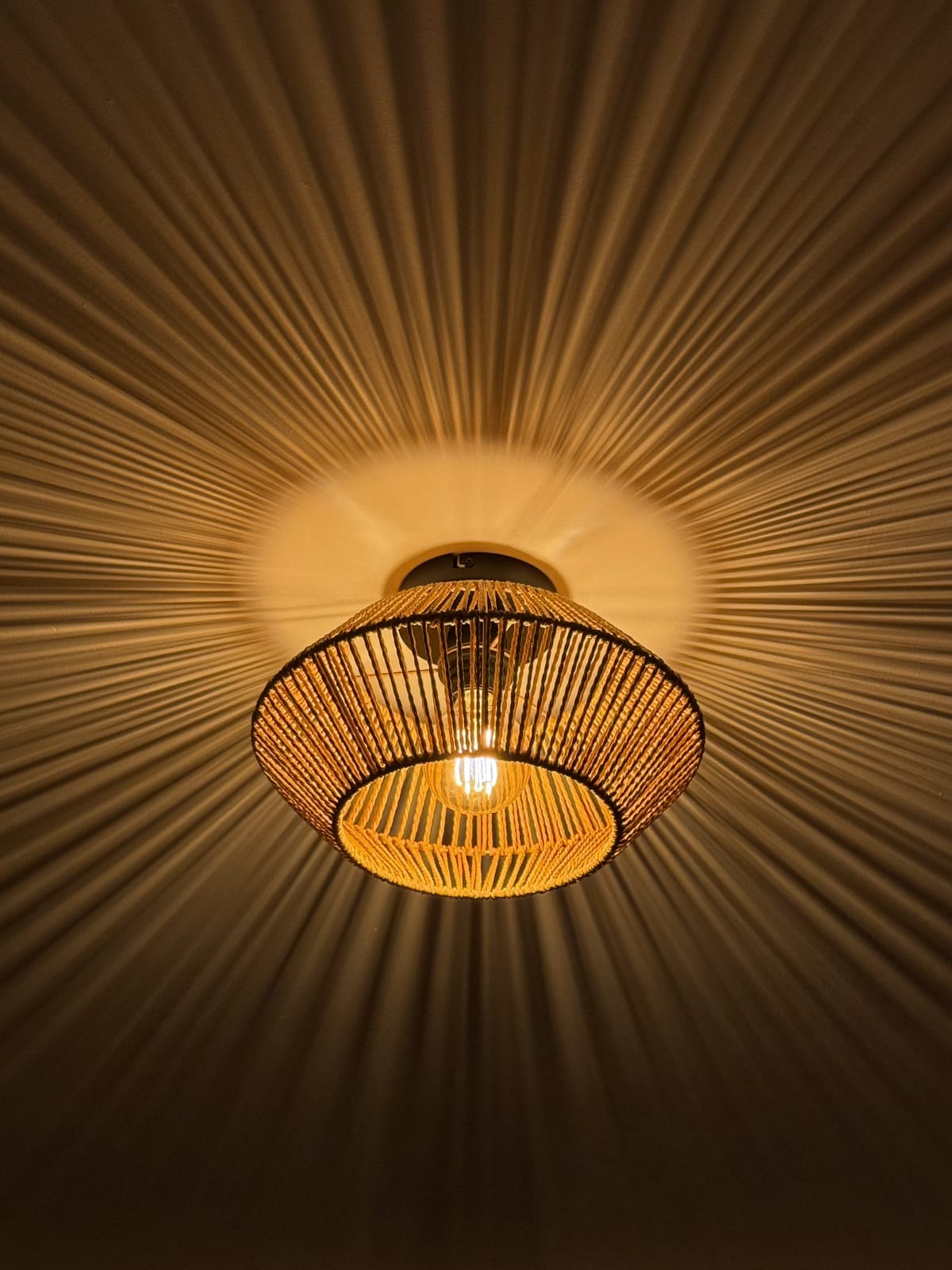 Ceiling Lamp